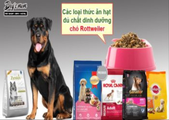 Thức ăn khô cho chó Rottweiler có tốt không?